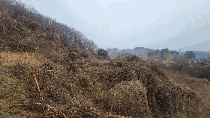 물건 사진 15