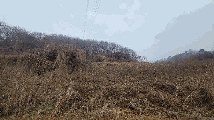 물건 사진 18