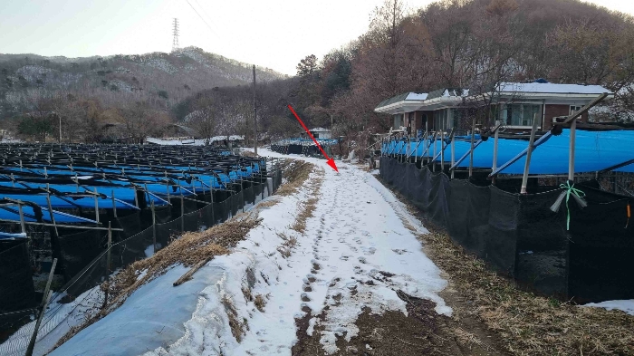 물건 사진 10