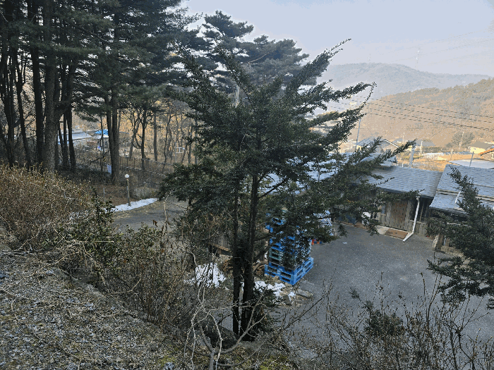 물건 사진 38