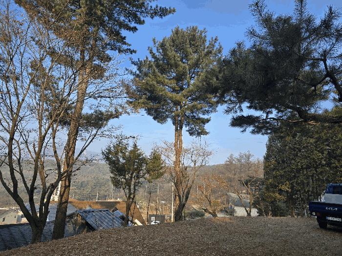 물건 사진 46