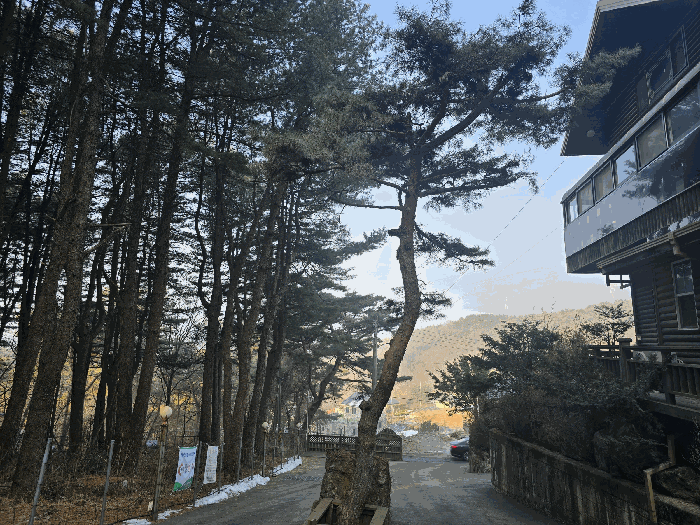 물건 사진 60