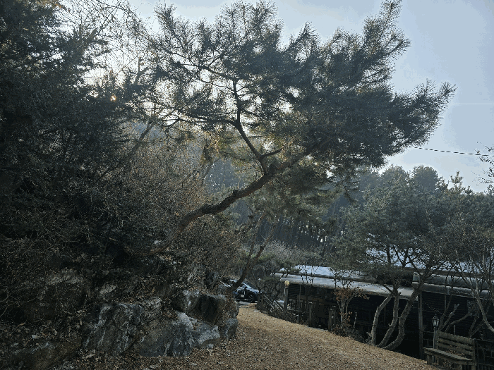 물건 사진 64