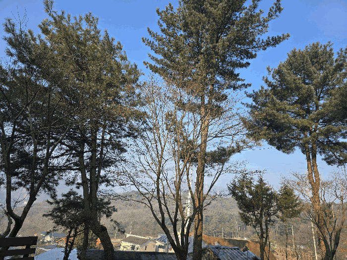 물건 사진 66