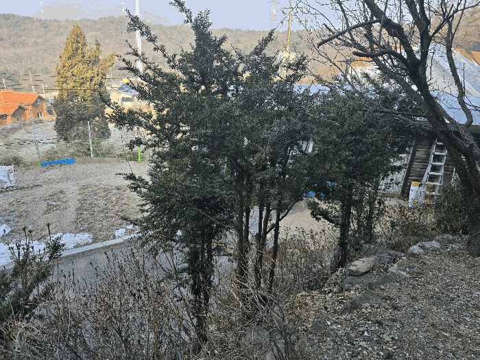 물건 사진 67
