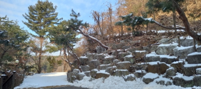 물건 사진 10