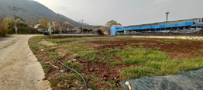 물건 사진 3