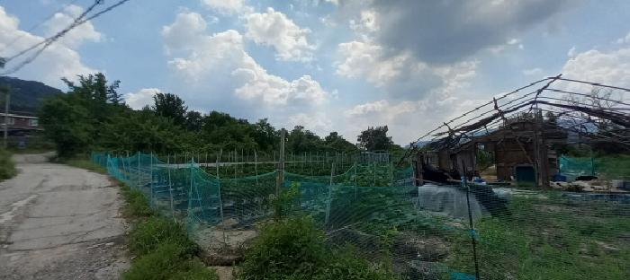 물건 사진 12