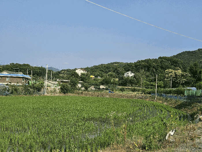 물건 사진 21