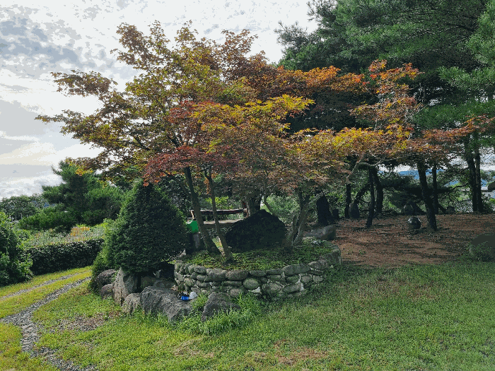 물건 사진 31