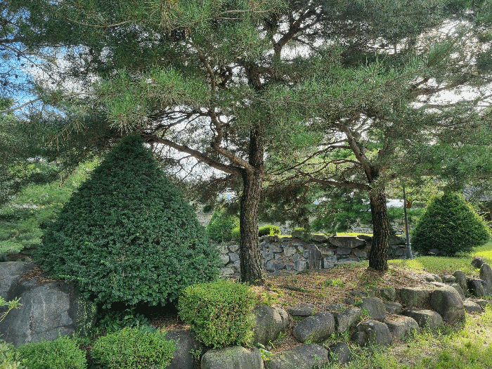 물건 사진 34