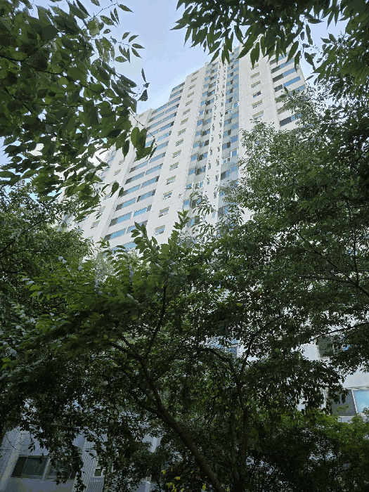 물건 사진 15