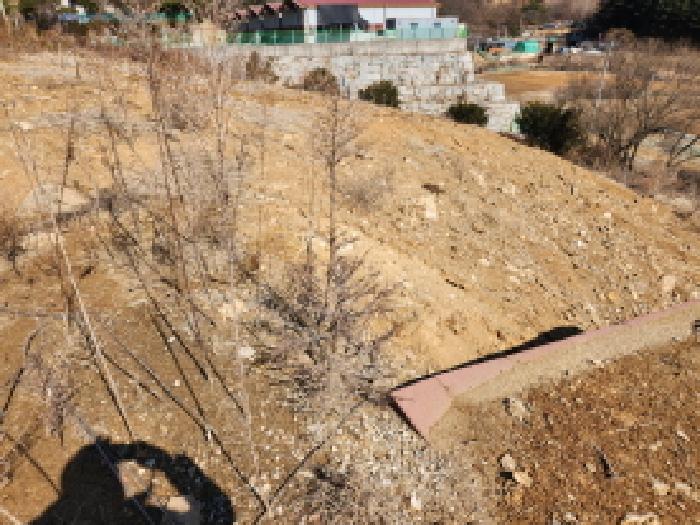 물건 사진 8