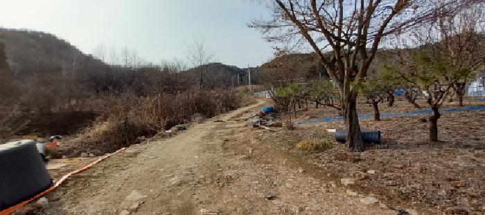 물건 사진 2