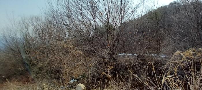 물건 사진 11