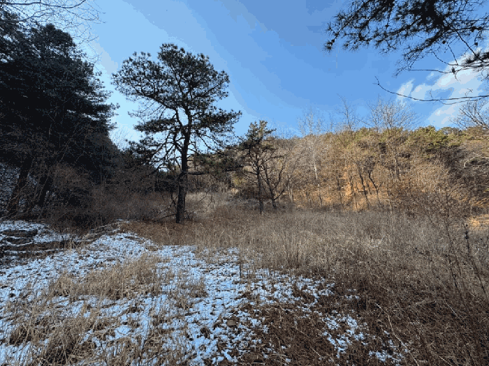 물건 사진 19