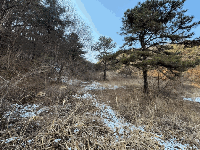 물건 사진 23