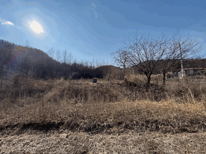 물건 사진 31