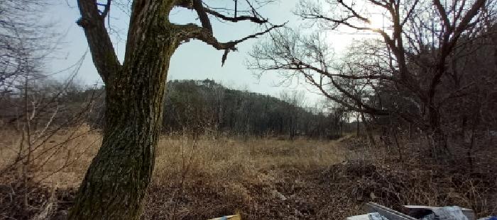 물건 사진 9