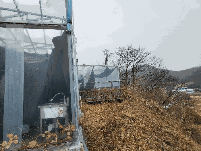 물건 사진 20