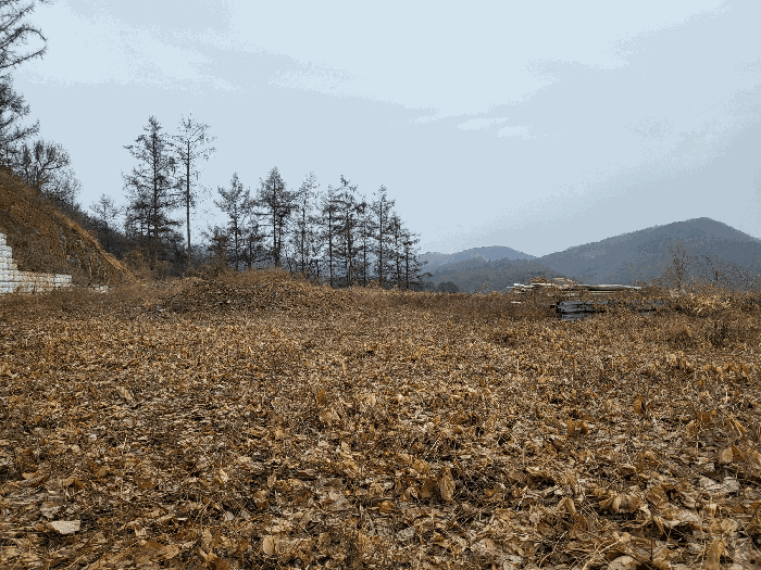 물건 사진 24