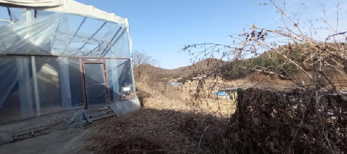 물건 사진 4