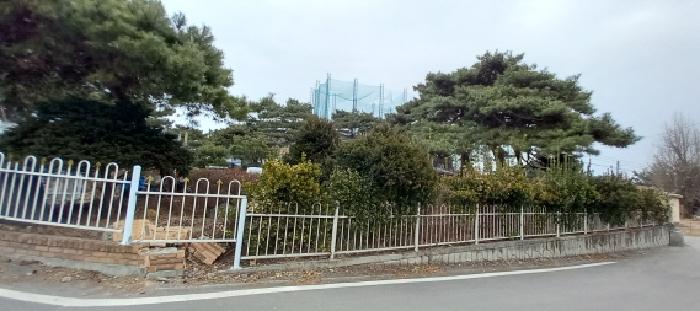 물건 사진 1