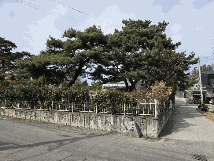 물건 사진 15