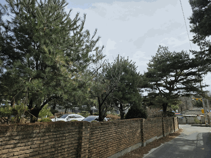 물건 사진 17