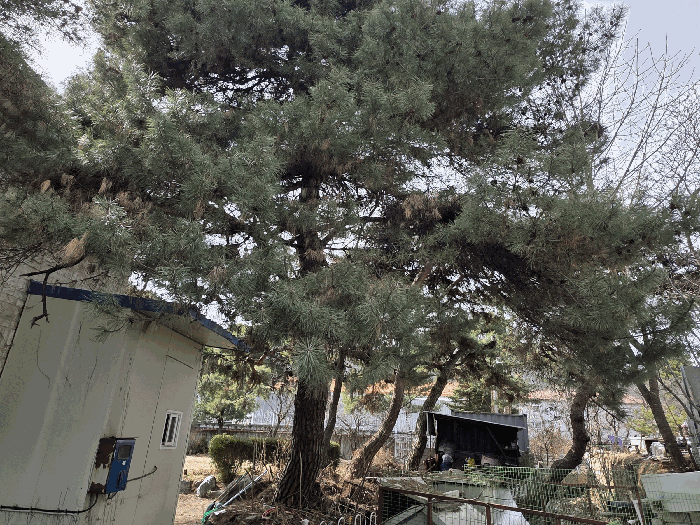 물건 사진 20