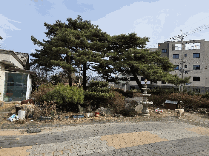 물건 사진 24