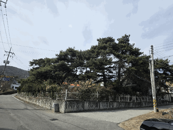 물건 사진 25