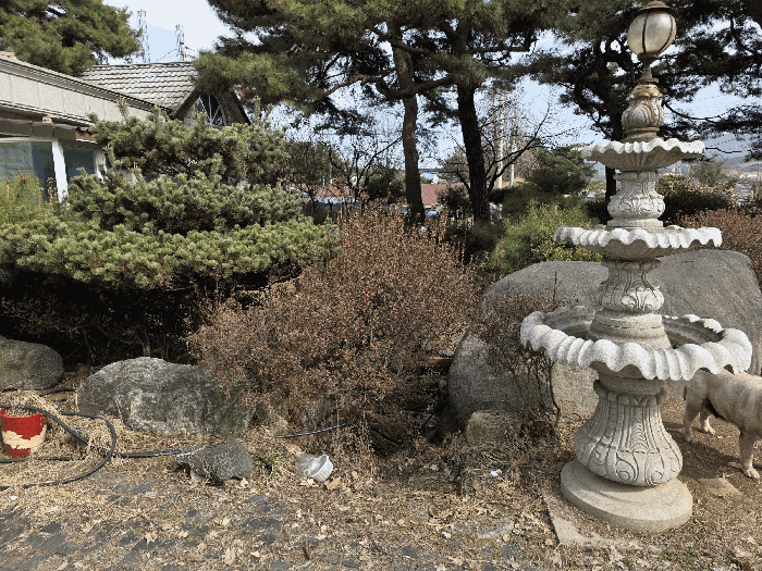 물건 사진 31