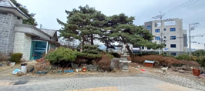 물건 사진 6