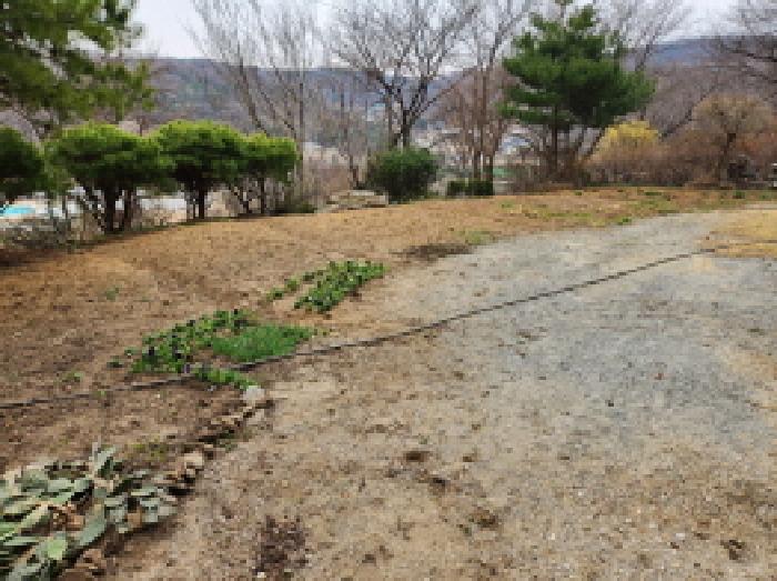 물건 사진 13
