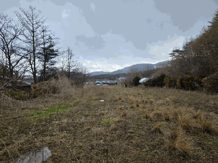 물건 사진 39