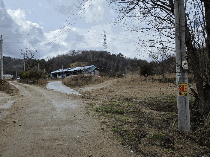 물건 사진 50