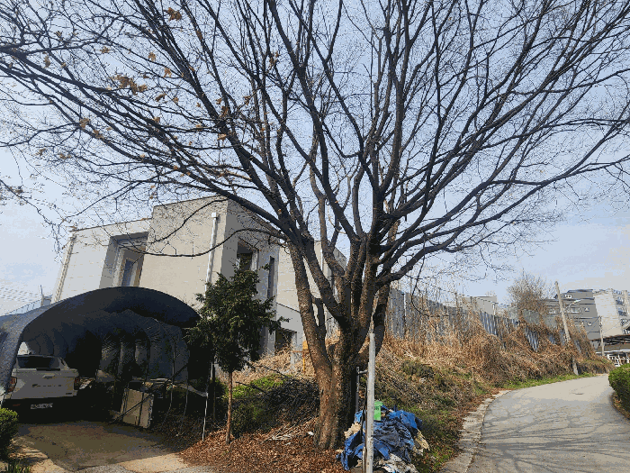 물건 사진 23
