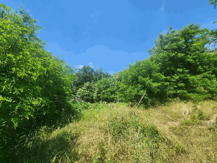 물건 사진 19
