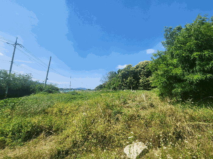 물건 사진 20