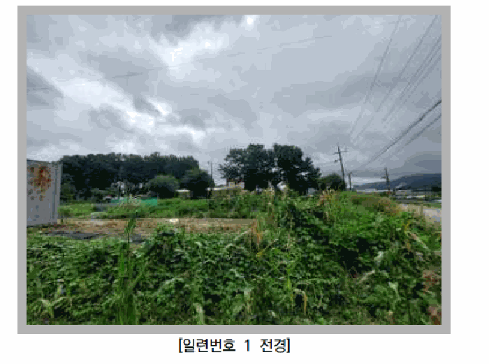 물건 사진 13
