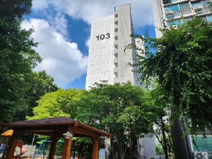 물건 사진 1