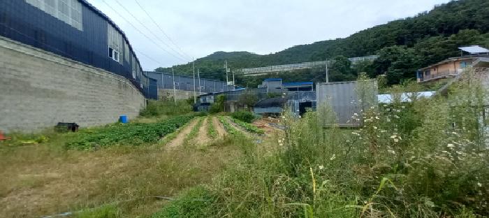 물건 사진 5