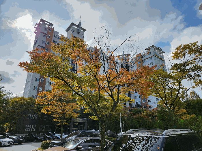물건 사진 11