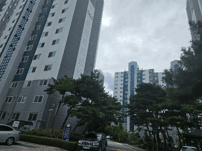 물건 사진 6
