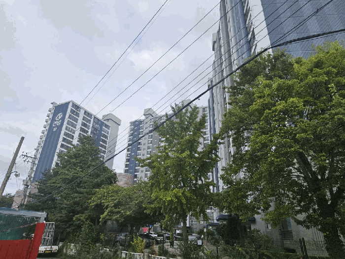 물건 사진 5