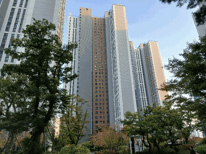 물건 사진 10