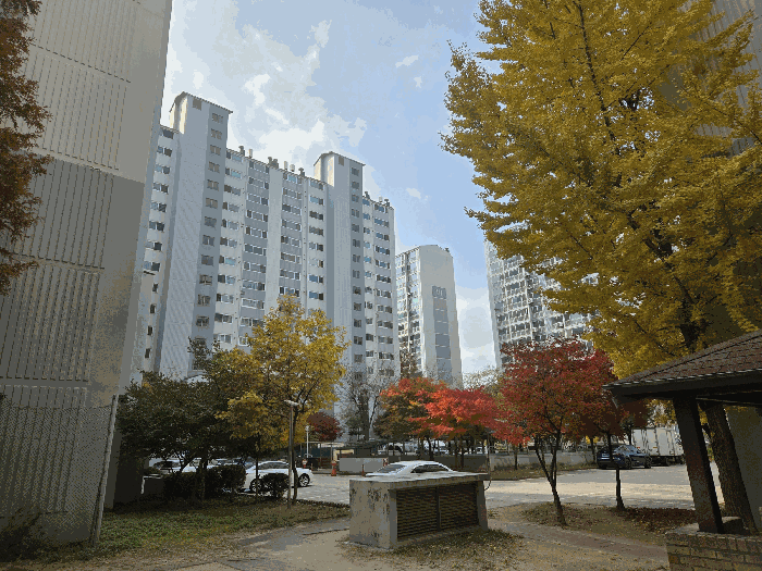 물건 사진 12