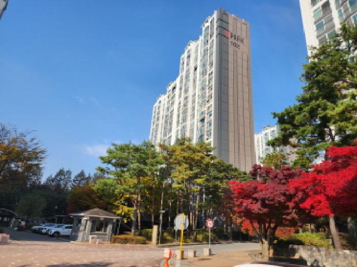 물건 사진 1