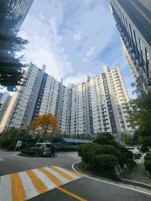 물건 사진 8